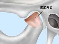 顎関節のしくみ